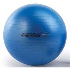 LDR GYM-BALL CM. 65